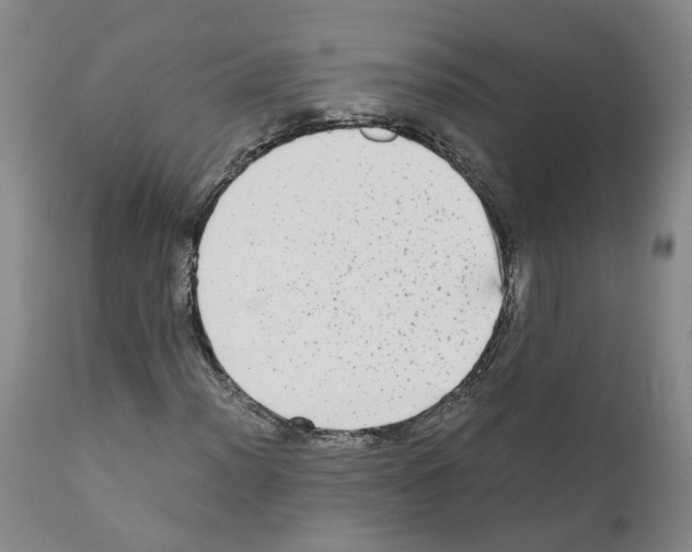 X0000110951012200907311036