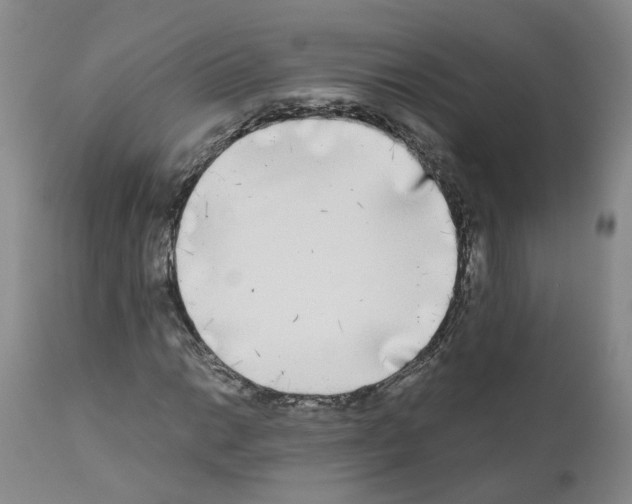 X0000110951014200907311036