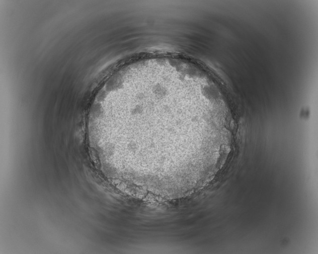 X0000110951015200907311036