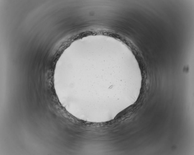 X0000110951016200907311036