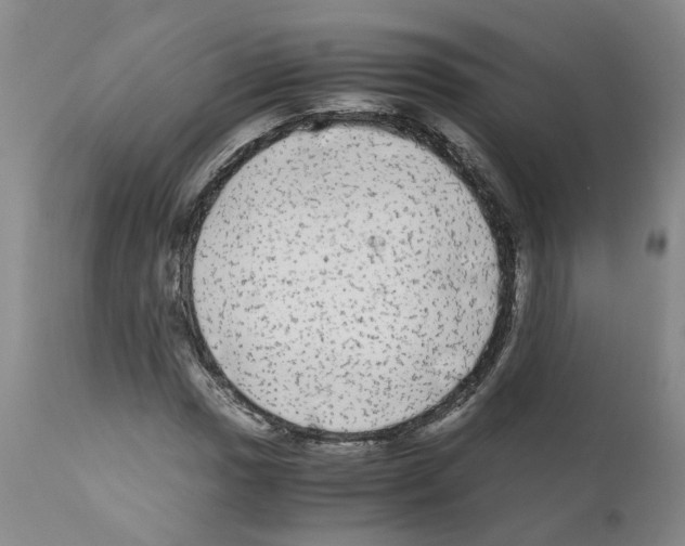 X0000110951017200907311036