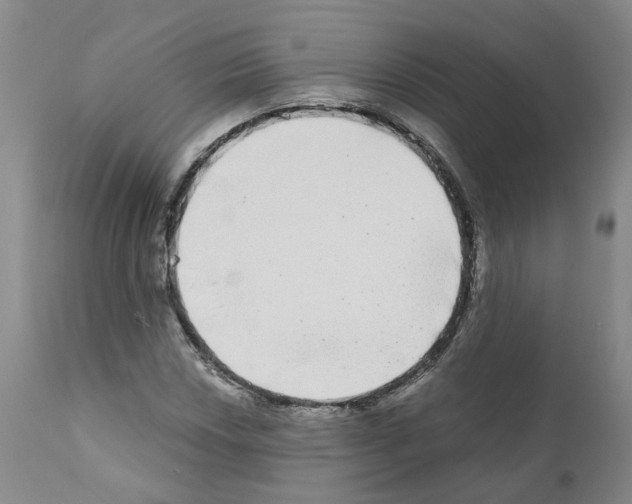 X0000110951018200907311036