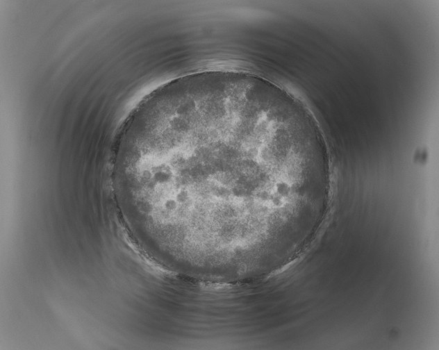 X0000110951019200907311036