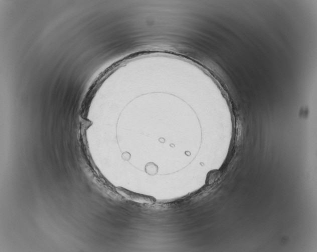 X0000110951020200907311036