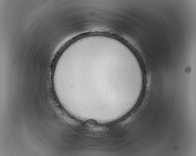 X0000110951021200907311036