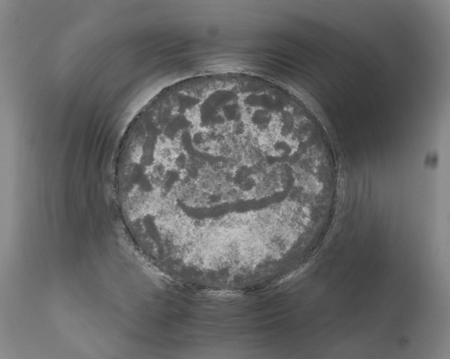 X0000110951023200907311036