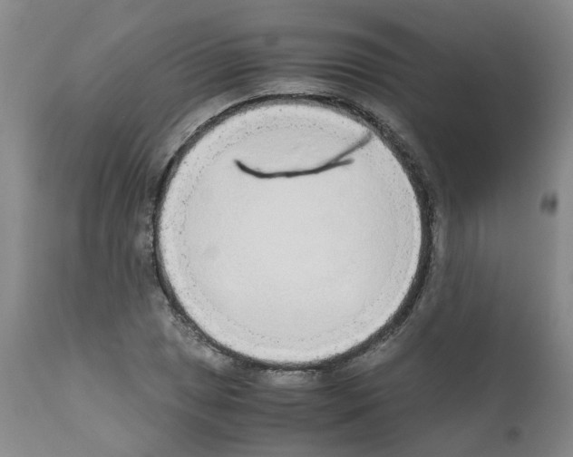 X0000110951025200907311036