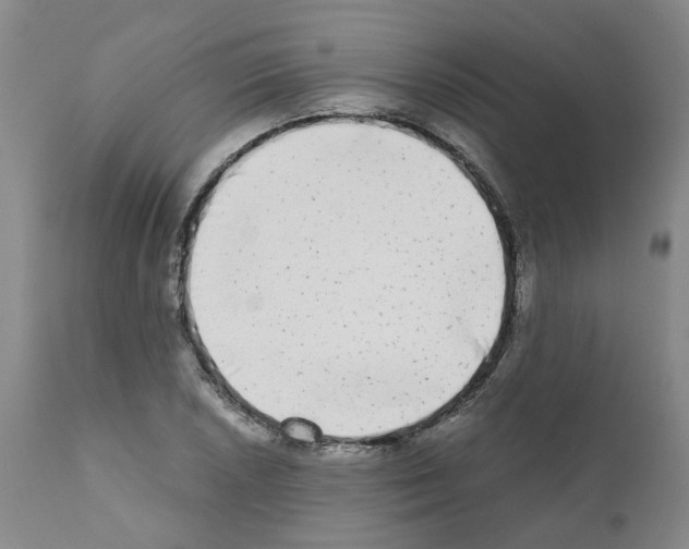 X0000110951026200907311036