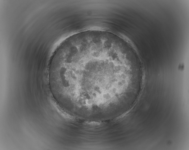 X0000110951027200907311036