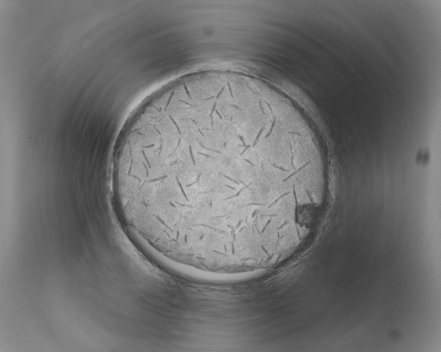 X0000110951028200907311036