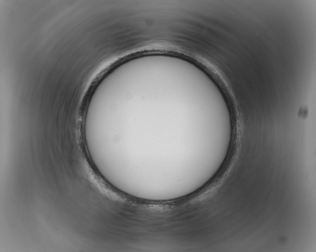 X0000110951029200907311036