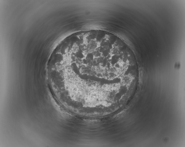 X0000110951031200907311036