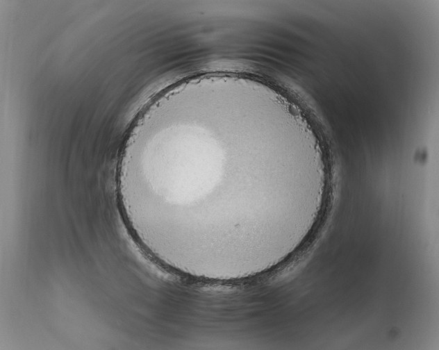 X0000110951033200907311036