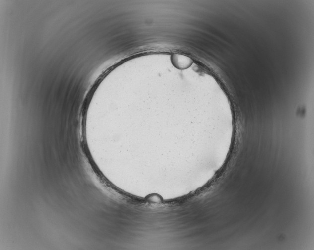X0000110951034200907311036