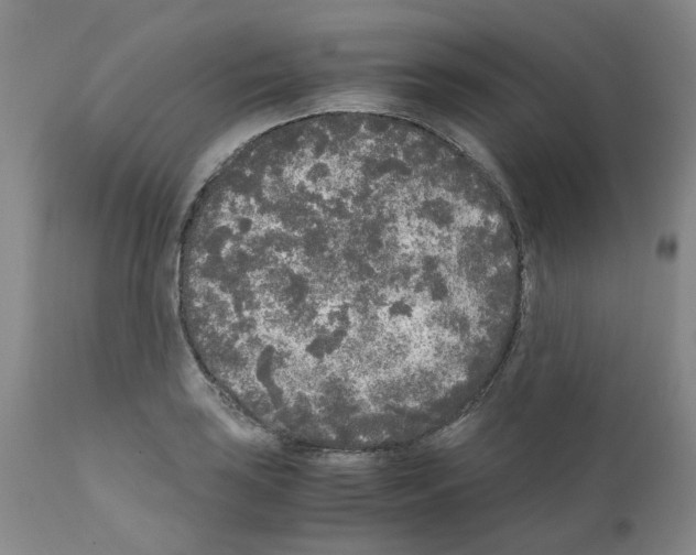 X0000110951035200907311036