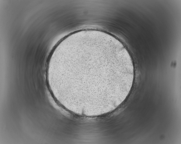 X0000110951038200907311036
