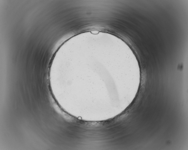 X0000110951042200907311036