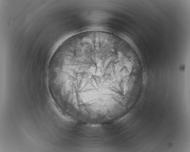 X0000110951043200907311036