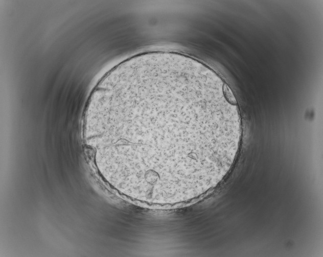 X0000110951044200907311036