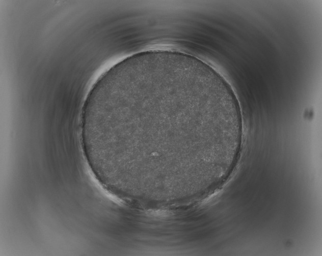 X0000110951045200907311036