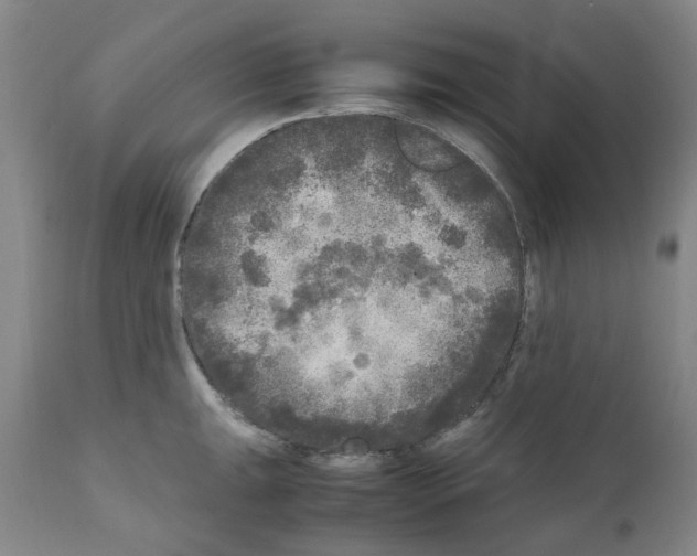 X0000110951047200907311036