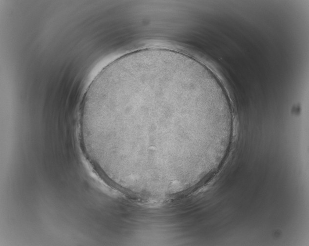 X0000110951048200907311036