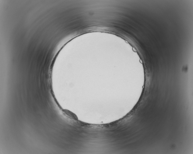 X0000110951050200907311036