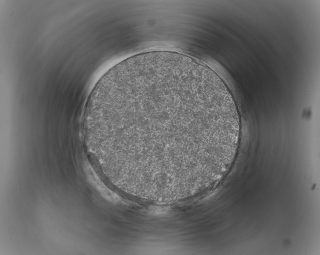 X0000110951052200907311036