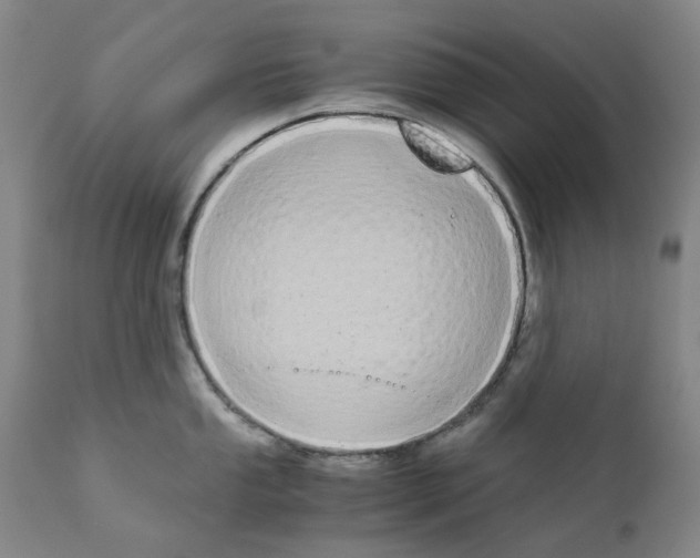 X0000110951053200907311036