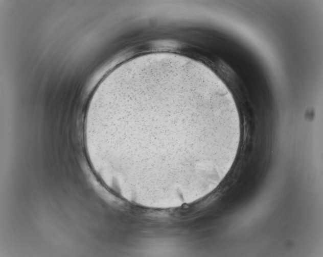 X0000110951054200907311036