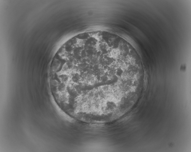 X0000110951055200907311036