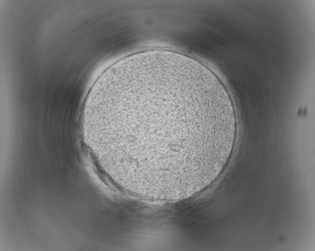 X0000110951056200907311036