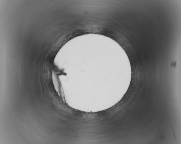 X0000110951058200907311036