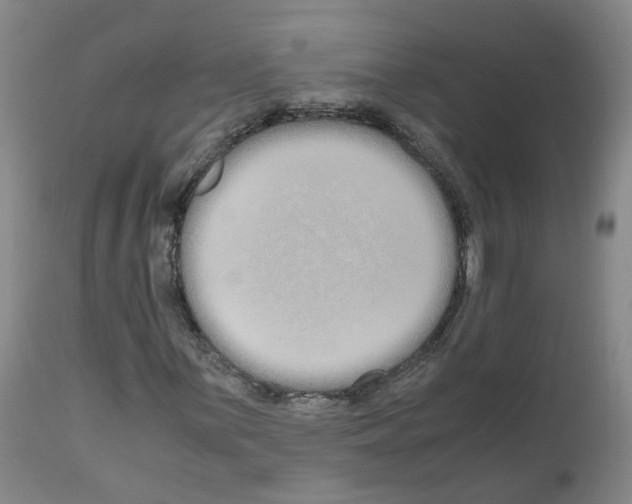 X0000110951059200907311036