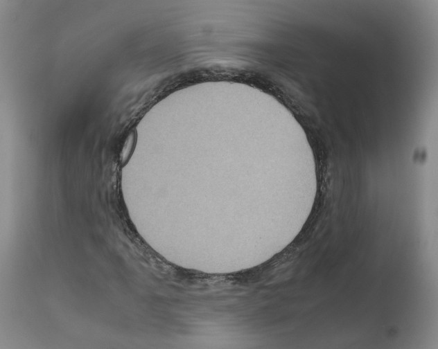 X0000110951061200907311036