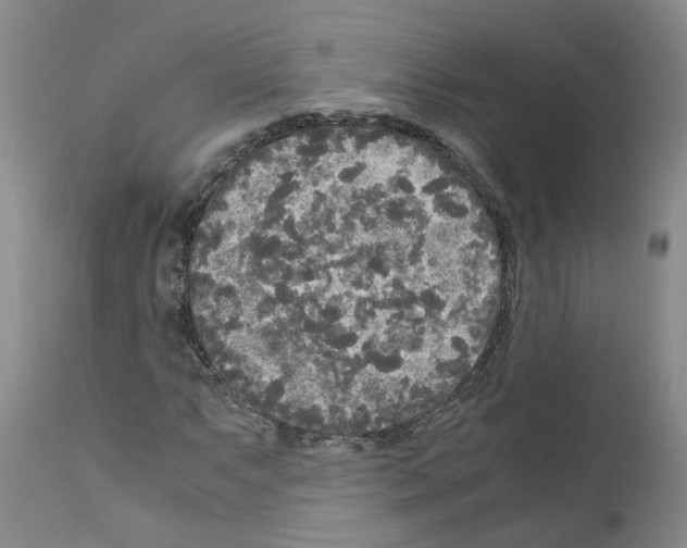 X0000110951063200907311036