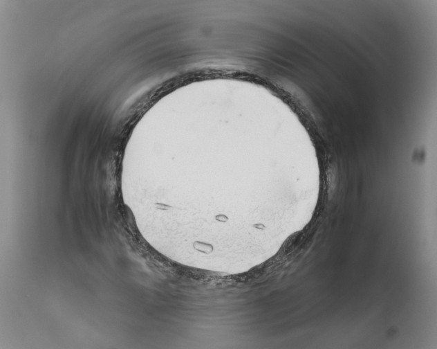 X0000110951064200907311036