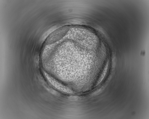 X0000110951065200907311036