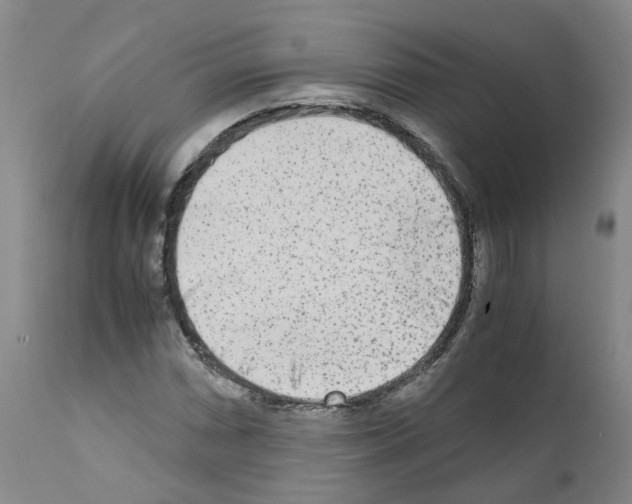 X0000110951066200907311036