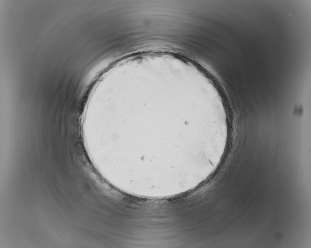 X0000110951067200907311036