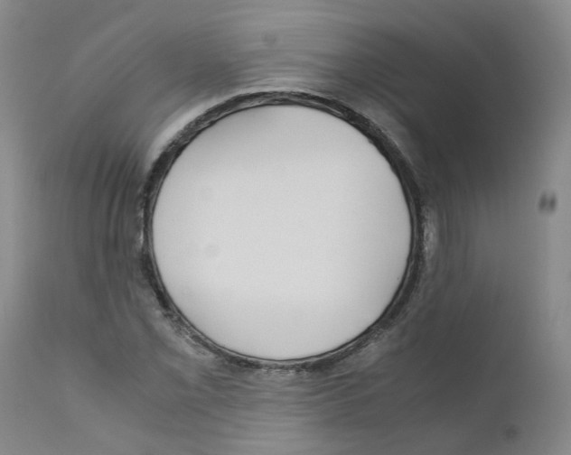 X0000110951069200907311036
