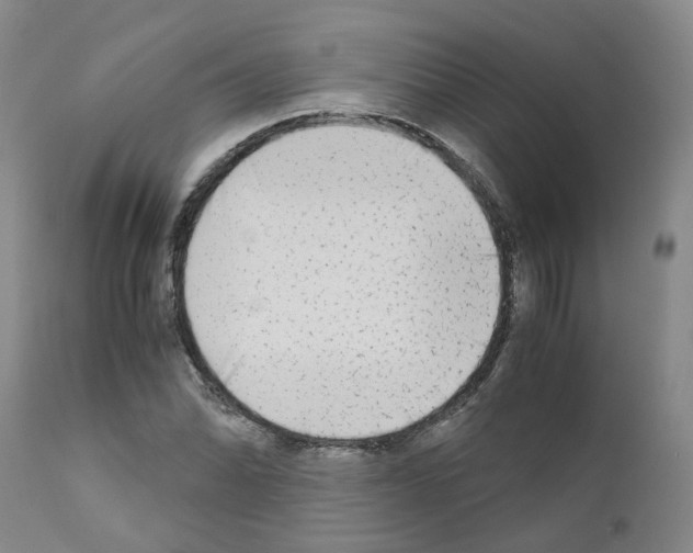 X0000110951070200907311036
