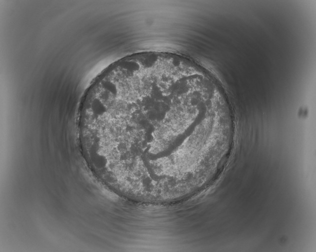 X0000110951071200907311036