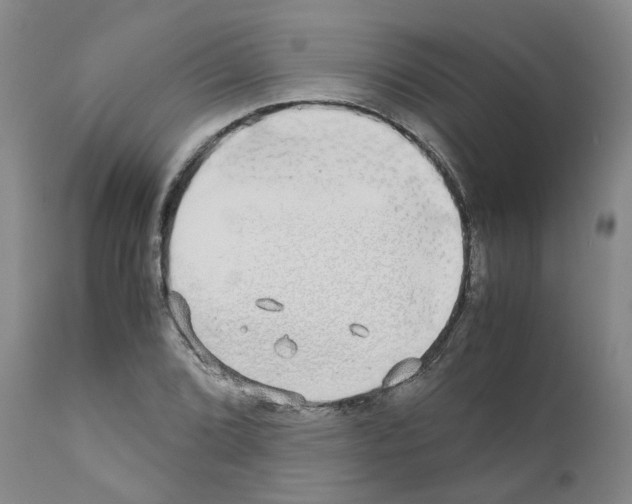 X0000110951072200907311036