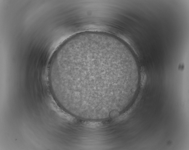 X0000110951074200907311035