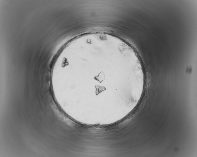 X0000110951075200907311035