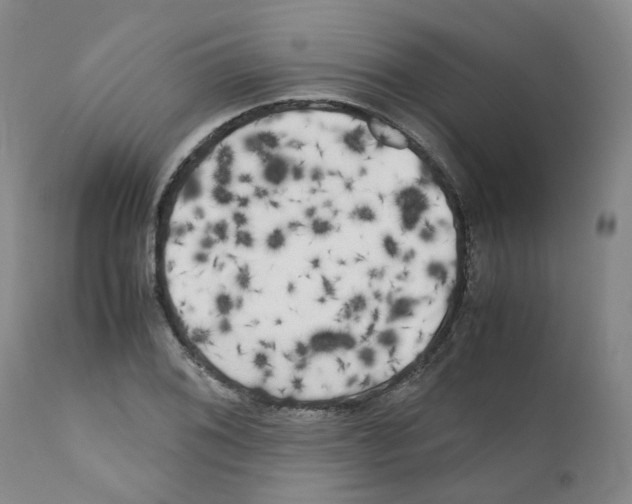 X0000110951076200907311035