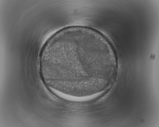 X0000110951077200907311035