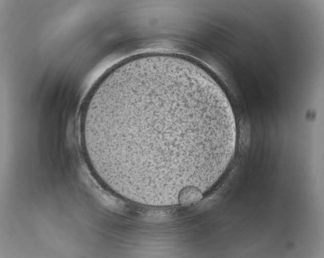 X0000110951078200907311035