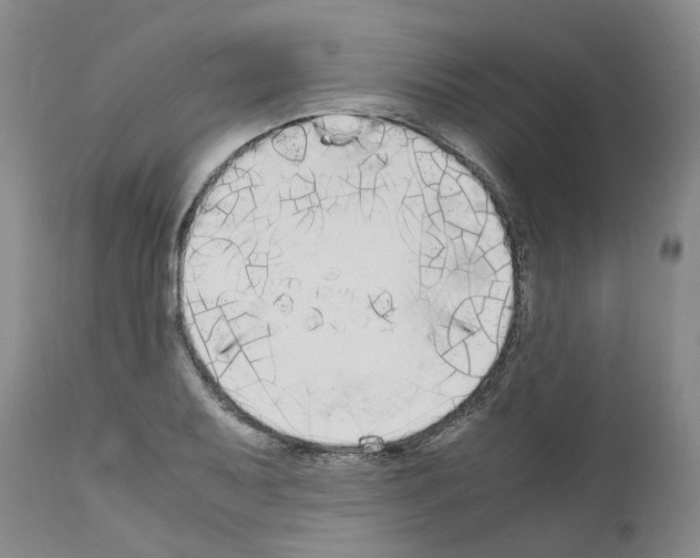X0000110951079200907311035